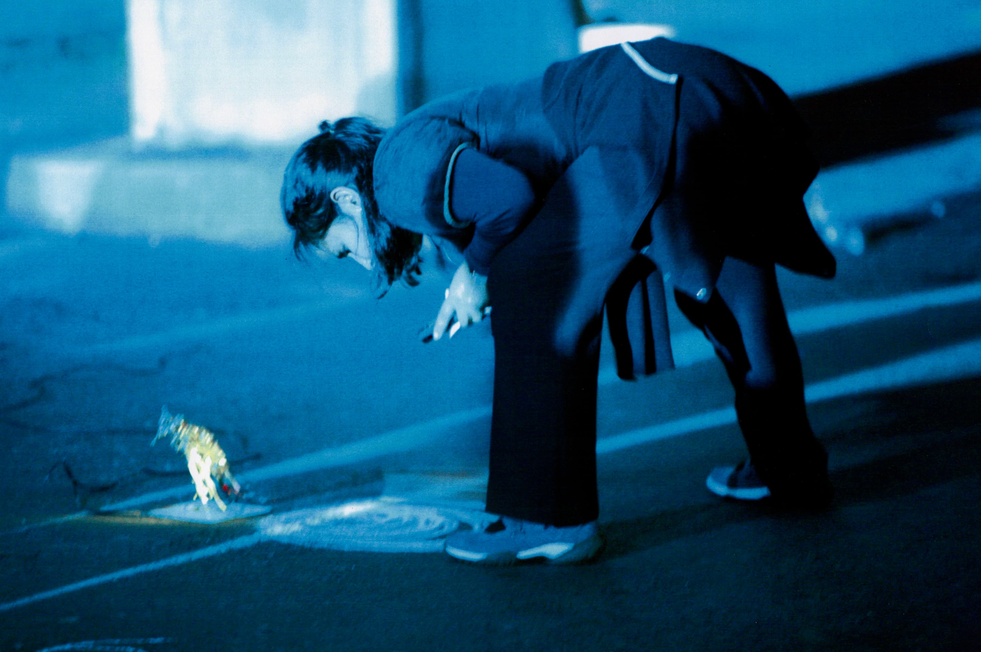 Magnesium Dreams, 2006 image 1