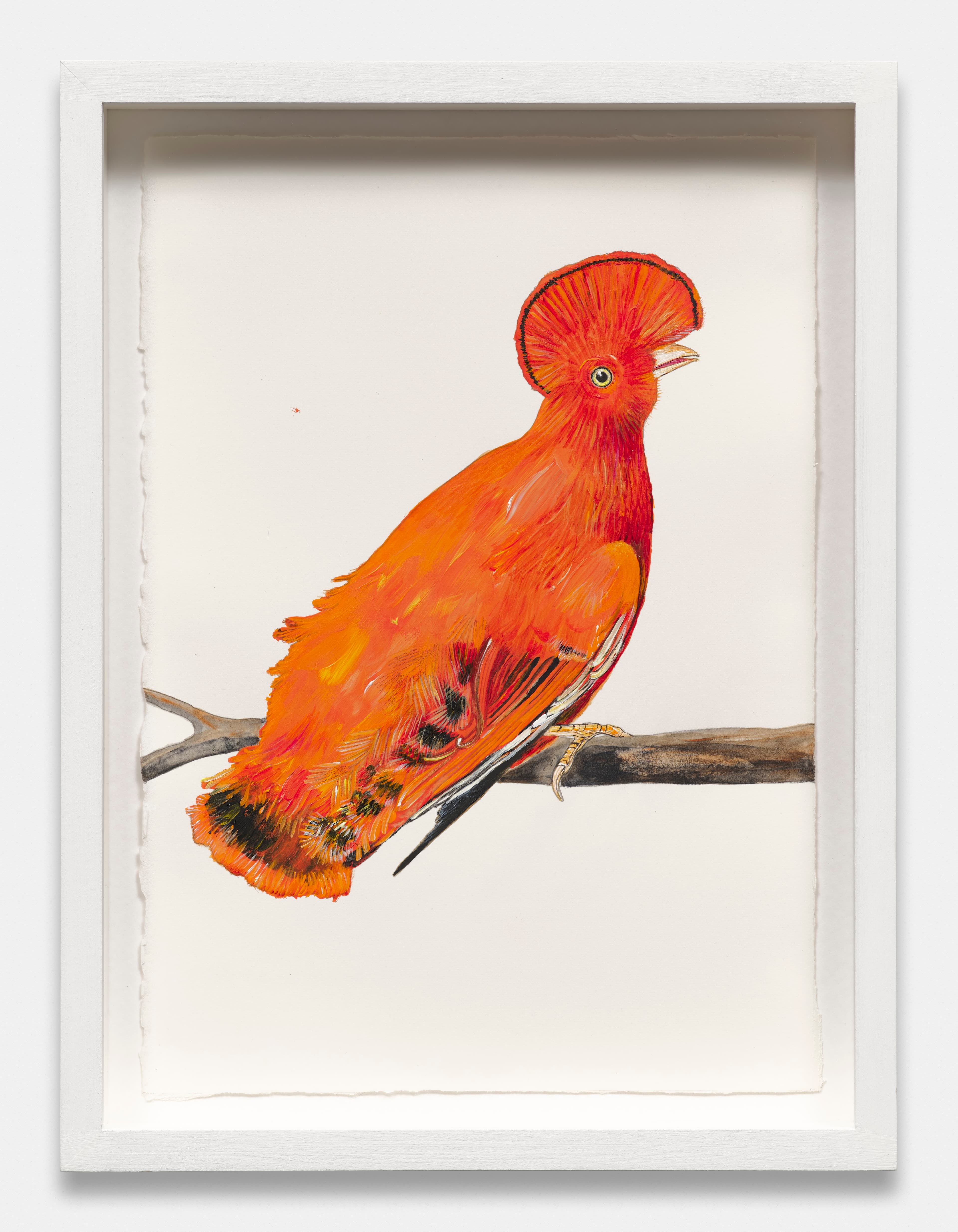 Big Orange Bird with Yellow Eyes (Le Coq de Roche) - from the on-going Time Flies series, 2000-present, 2024 image 1