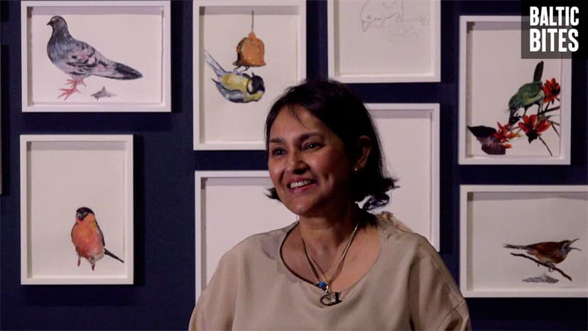 BALTIC Bites | Sutapa Biswas