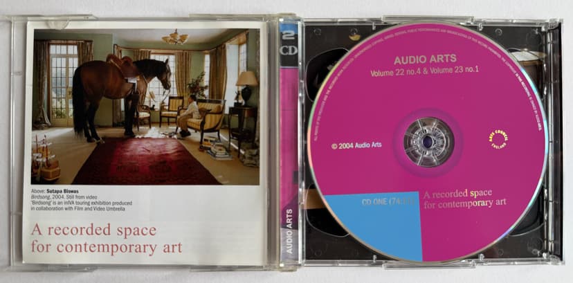 Sutapa Biswas, Interview Café Gallery Projects, Southwark Park, London, Audio Arts Magazine
